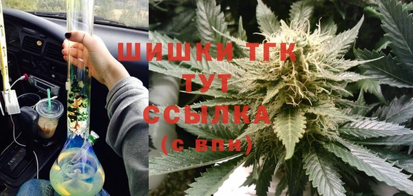 стаф Волосово