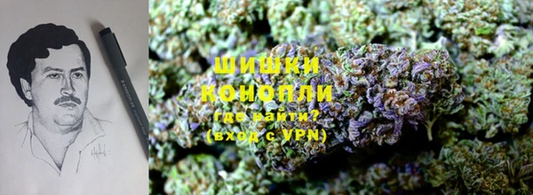 трава Волоколамск