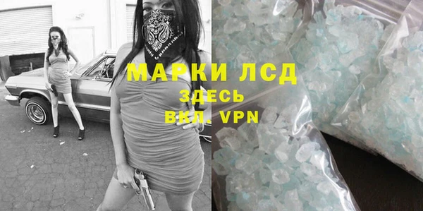 стаф Волосово