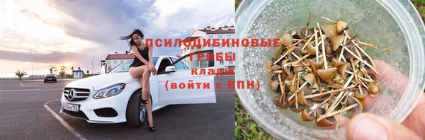 стаф Волосово