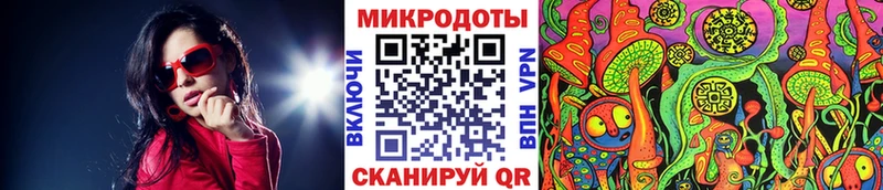Галлюциногенные грибы прущие грибы  Александровское 